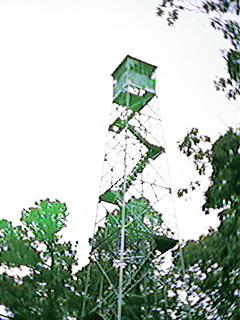 FIRE TOWER AFTER THE FIRE